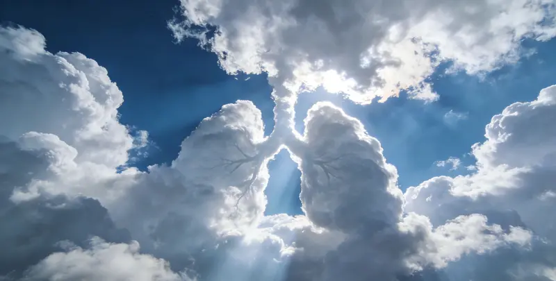 阿拉尔肺癌靶向120基因检测及PDL122C3表达检测套餐（组织）图片1