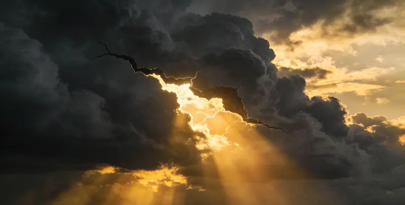 阿拉尔肺癌13基因突变检测（组织）图片1