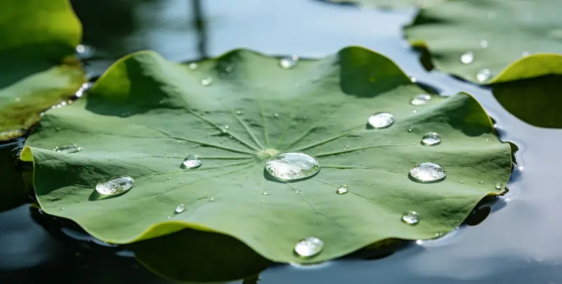 阿拉尔乳腺癌21基因mRNA表达分析图片1