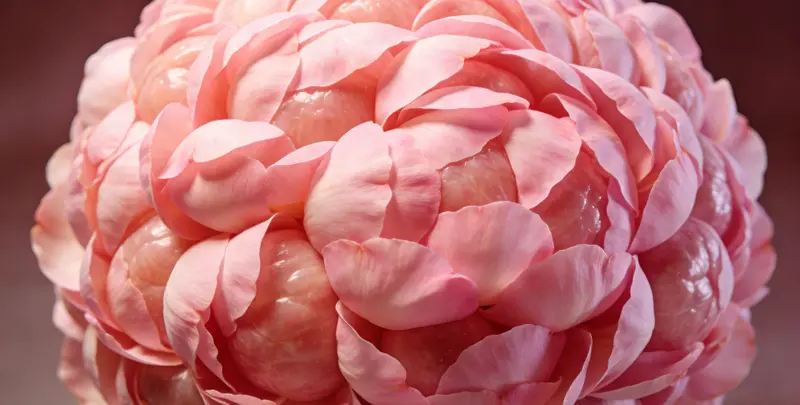 阿拉尔BRCA1/2乳腺癌卵巢癌基因检测图片1